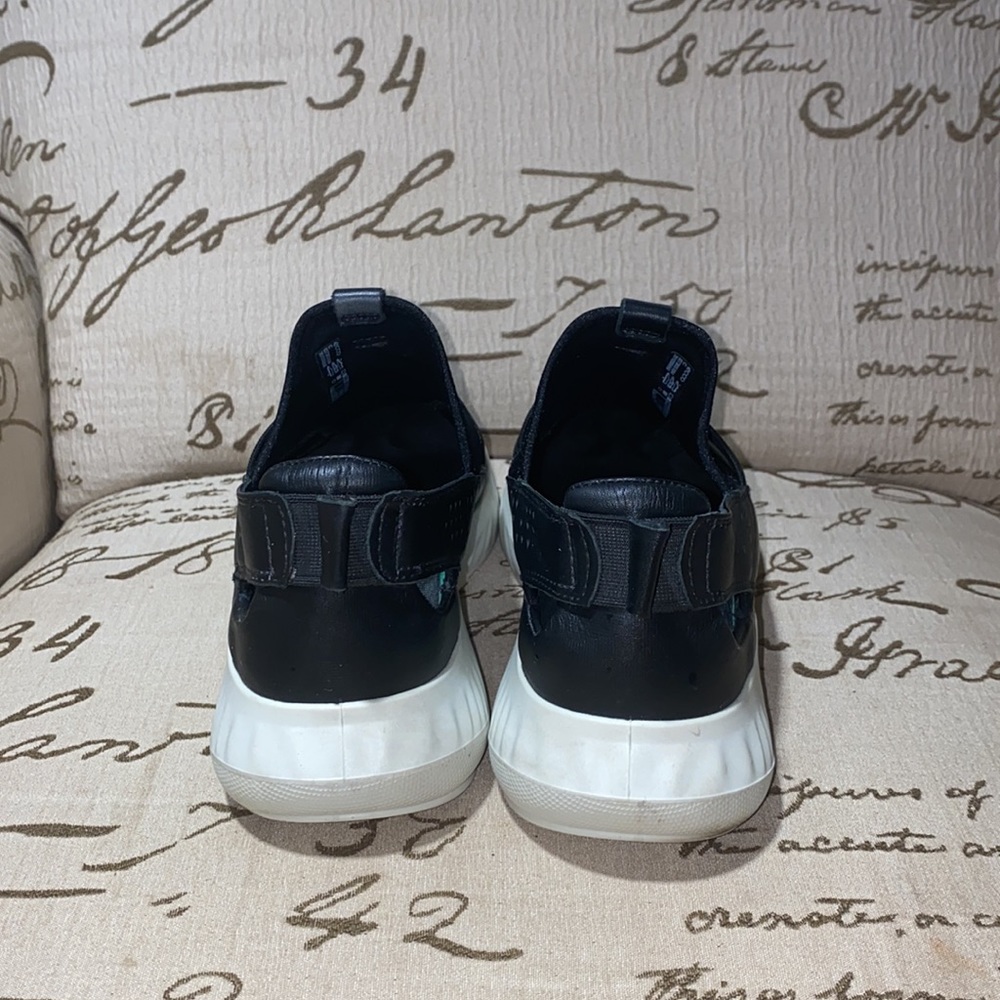 Ecco - Picture 2 of 15